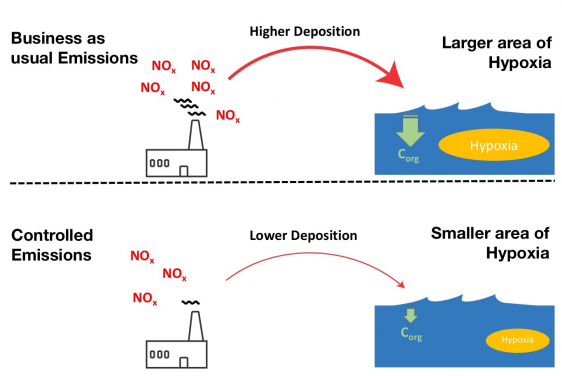 Illustration of the chain of events from the emissions to the generation of hypoxia. Illustration from the article
(https://pubs.acs.org/doi/abs/10.1021/acs.est.0c00706)